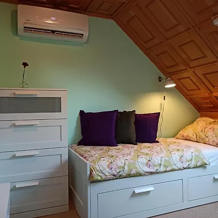 Narcisz Vendeghaz Holiday home *