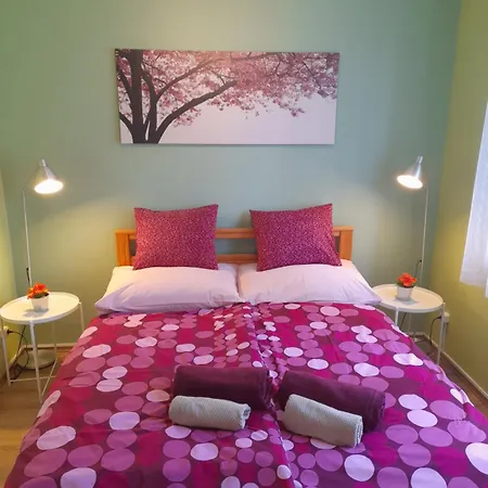 Narcisz Vendeghaz Vakantiehuis Mezőkövesd